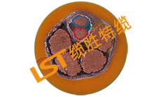 采煤機(jī)復(fù)合特種電纜 采煤機(jī)復(fù)合特種電纜