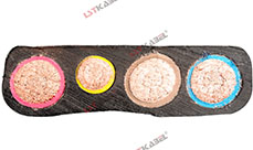 斗輪機扁電纜 斗輪機扁電纜